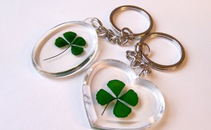 Four Leaf cLover Lover