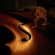 Hawaiian Lap steel Guitar lessons