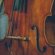 Upright Bass Lessons online