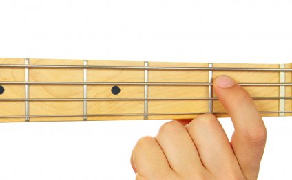 Free Beginner Bass lessons