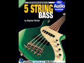 5 string Bass Guitar Lessons