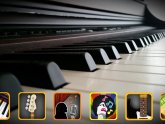 Free Bass lessons for Beginners