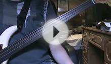 Fretless Bass Lesson: Octaves and Intervals