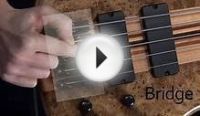 Learn Bass Lesson 01 - Introduction to the bass guitar