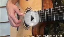Mini Lesson Blackbird, The Beatles acoustic guitar lesson