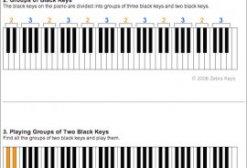 Zebra Keys Keyboard